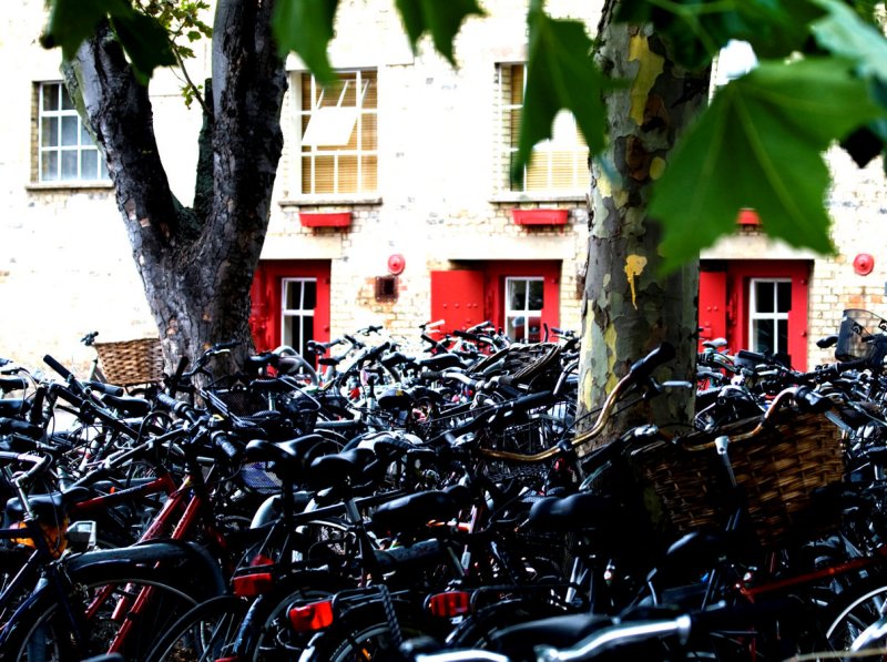 Billions of bikes