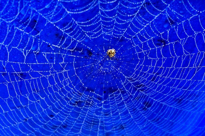 3 October - big web