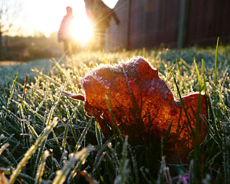 12 December - brrrr... frosty!