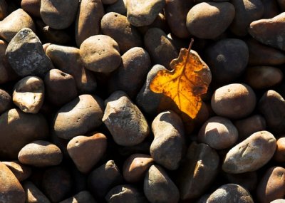 gold in the pebbles