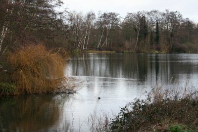 the reserve