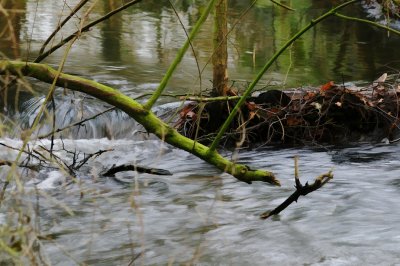 River