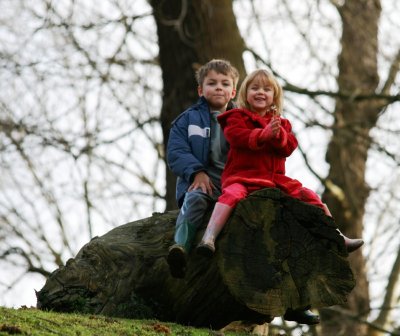 Knole park kids on the tree trunk!