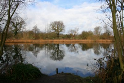 Reflections