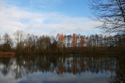 reflections