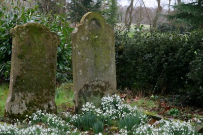 Old graves