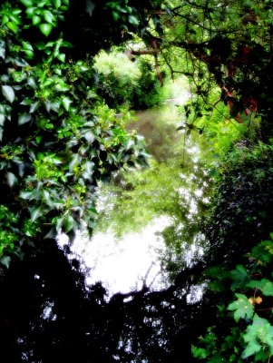 16 May - green stream