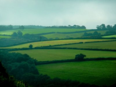 3 August - Devon field