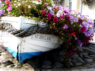 Flowery boat