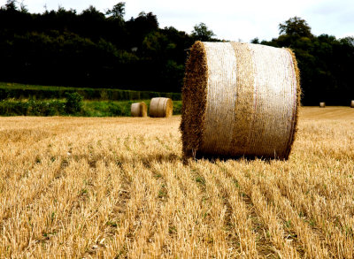 bale tracks