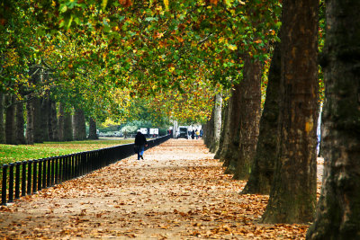 Down the Mall