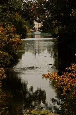 Through the trees