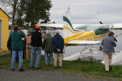 Birding Spenard Lake in Anchorage