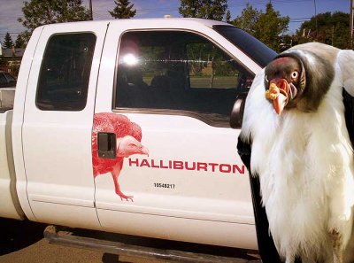 Halliburton-Vulture.jpg