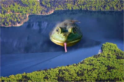 Frog-Pond.jpg