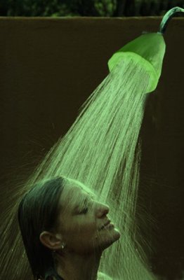 Lotus shower.jpg