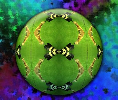 Ferret-Sphere.jpg