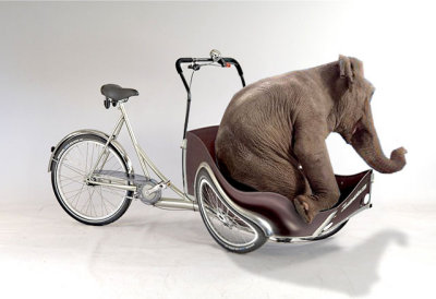 Elephant-Bike.jpg