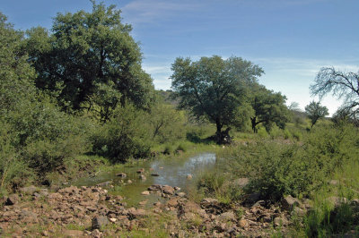 Ranch creek.JPG