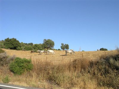 P8113189.JPG