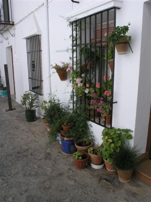 P8163321.JPG