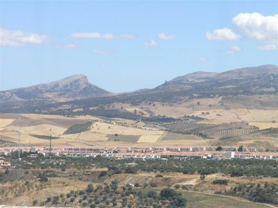 P8163365.JPG