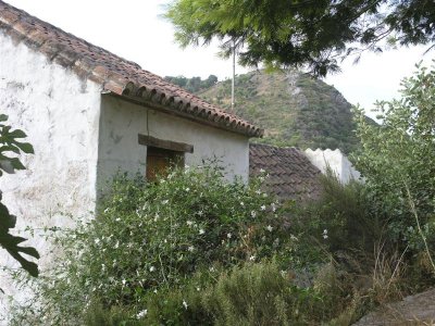 P8183436.JPG