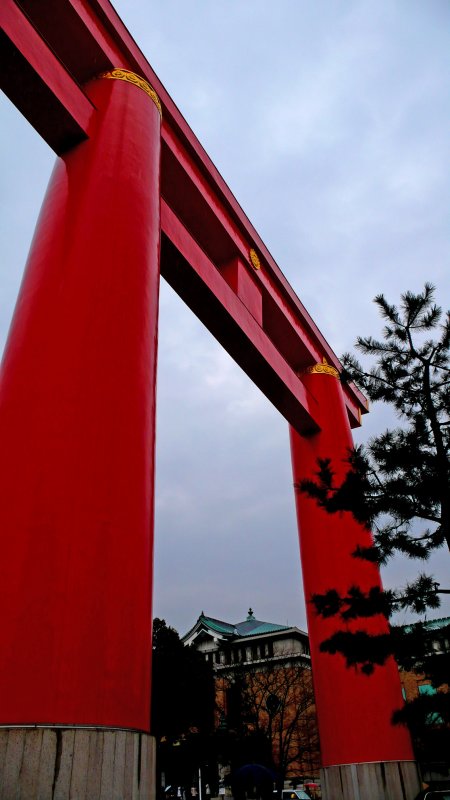 P1000444.jpg