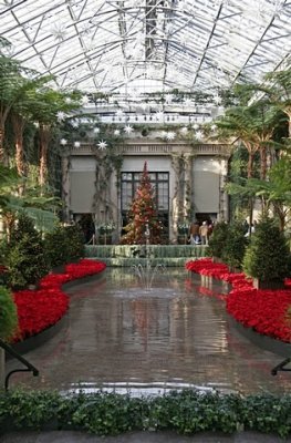 3.  Looking north in the main conservatory, towards the music room.