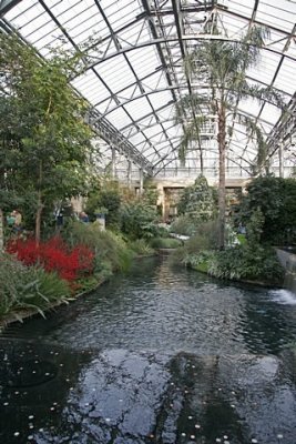 5.  Looking west in the newly renovated East Conservatory.