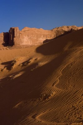 08. In the Dunes area