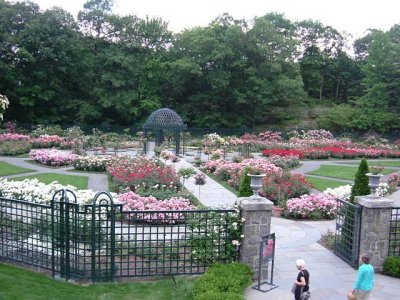 Barbara's Trip to the New York Botanical Gardens