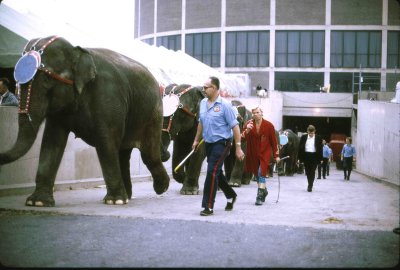 KCG with Ringling Brothers 1971