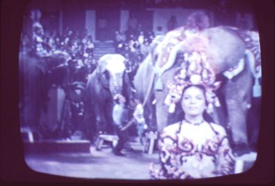 KCG with Ringling Brothers 1971 - from live TV