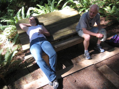  the viewing bench @ opa