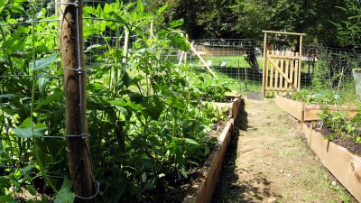 garden july 14 07