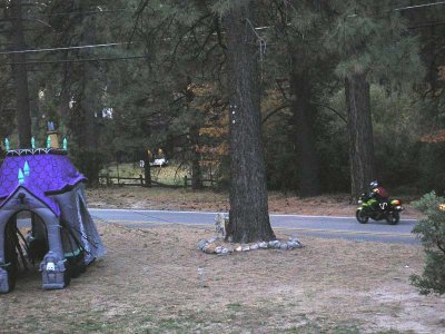 Dave, Speed 4, trees, and inflatable haunted house