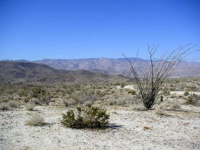 Back through Anza Borrego