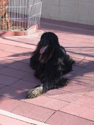DSCN4198.jpg