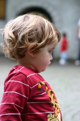g6/53/576253/3/80769137.bWr7AZMq.jpg