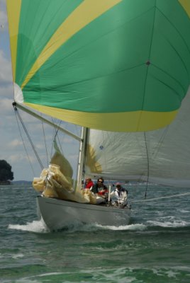 _COW0401Hispania.JPG