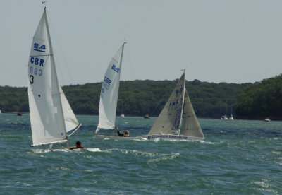 _COW0509Race2.4.JPG