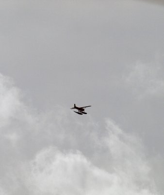 P8040428-1280.jpg