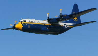 BA9B0538Albert2.jpg