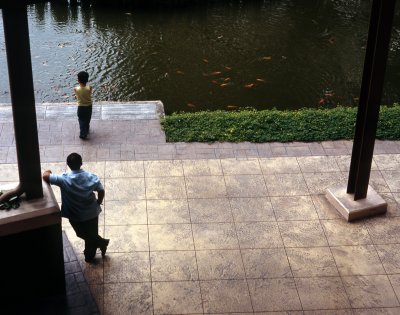 Young Man Stands Alone