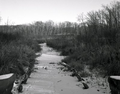 Down the Creek