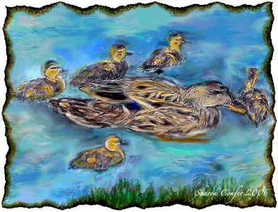 Duck And Ducklings<br>Wk 6