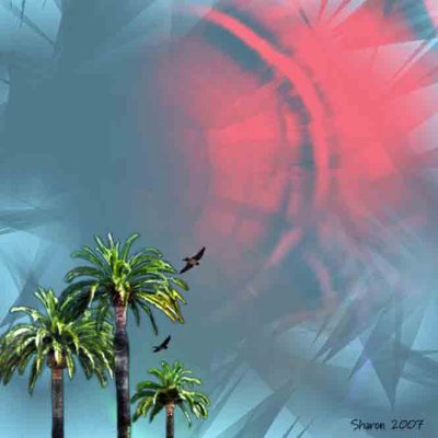 Palm Trees, Birds & Red Sun<br>Week 3