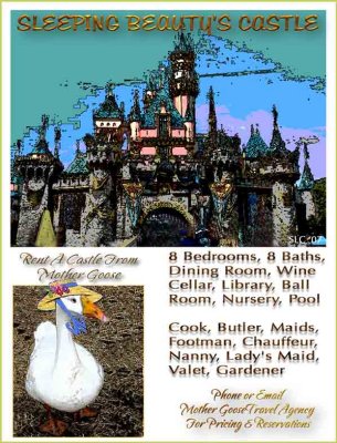 ~Rent A Castle~