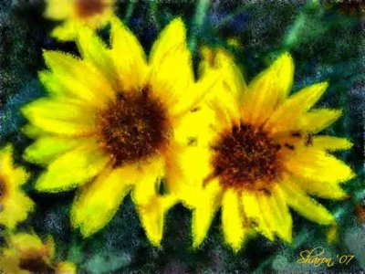 Experiment With TexturesYellow Flowers